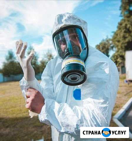 Борьба с тараканами и клопами с гарантией Новосибирск - изображение 1
