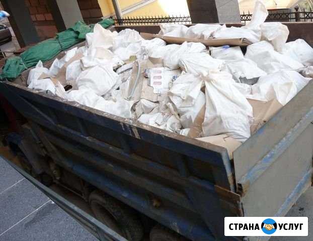 Вывоз мусора Селятино - изображение 1