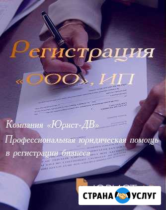 Регистрация ооо/ип. Изменения в Егрюл. Ликвидация Хабаровск - изображение 1
