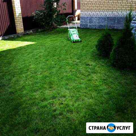 Садовник Кострома