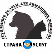 Захоронение домашних животных Анапа - изображение 1