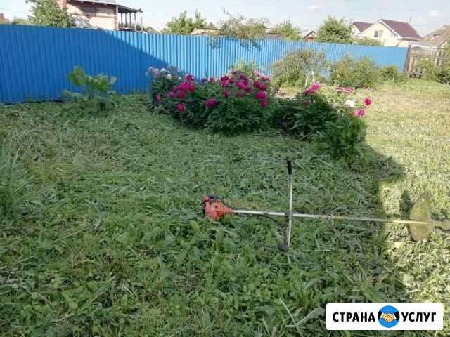 Скошу траву триммером(леска, диск) Набережные Челны - изображение 1