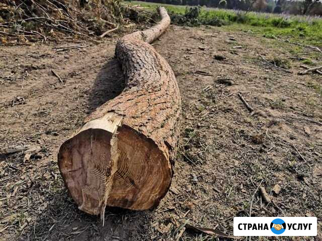 Участок и работа Кольчугино - изображение 1