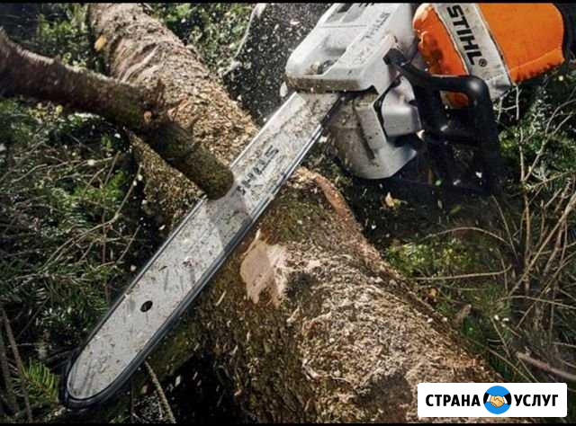 Пилим деревья Черноерковская - изображение 1