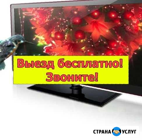 Ремонт телевизоров Санкт-Петербург - изображение 1