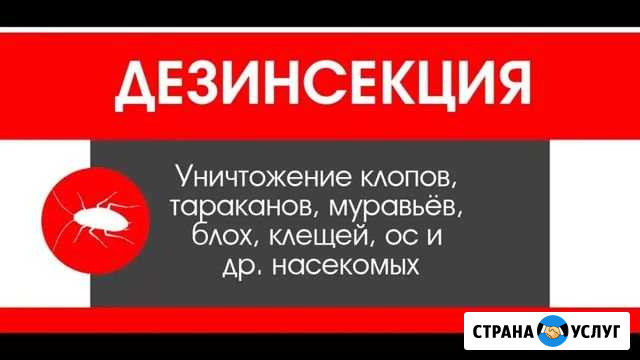 Дезинсекция Новосибирск - изображение 1