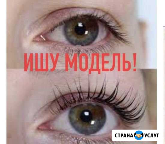 Обучение Ламинирование Воронеж - изображение 1