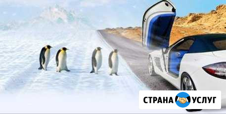 Заправка Автокондиционера Октябрьский - изображение 1