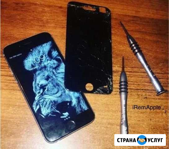 Ремонт iPhone с выездом мастера Москва - изображение 1