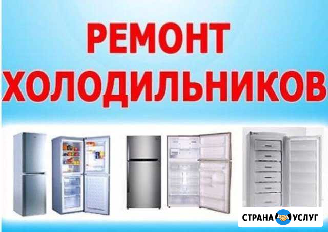 Качественный ремонт холодильников Сосновка - изображение 1