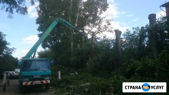 Удаление и обрезка деревьев любой сложности Конаково - изображение 1