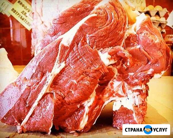 Доставка мясо Махачкала - изображение 1