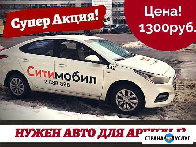 Аренда авто Волгоград - изображение 1
