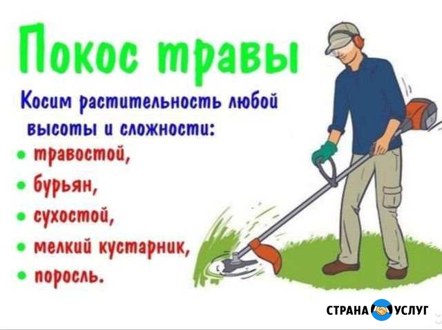 Покос травы Полысаево - изображение 1