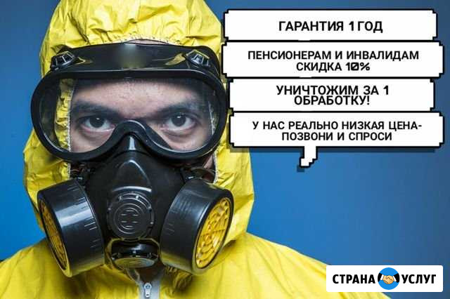 Уничтожение тараканов,клопов,блох,муравьев,клещей Ростов-на-Дону - изображение 1