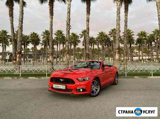 Аренда Авто Прокат Кабриолета Ford Mustang в Сочи Сочи