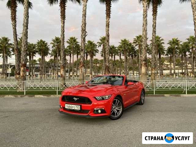 Аренда Авто Прокат Кабриолета Ford Mustang в Сочи Сочи - изображение 1