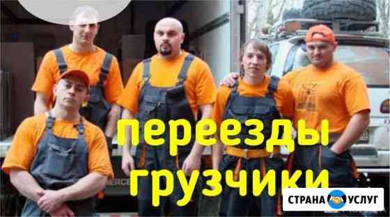Переезды, грузчики Бор