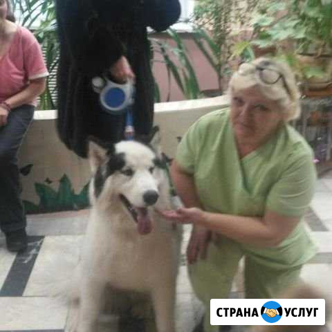 Сиделка для пожилых и лежачих больных Фрязино - изображение 1