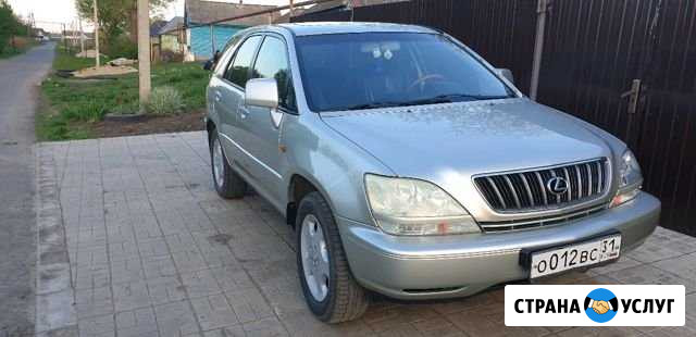 Автоподбор Курск - изображение 1