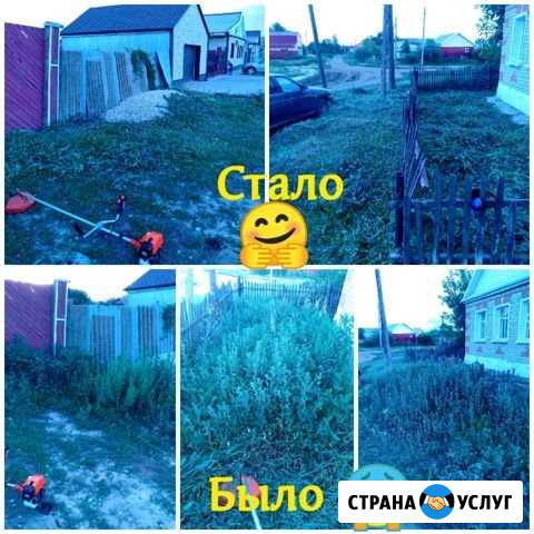 Покос травы Ершов - изображение 1
