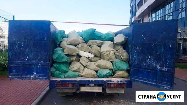 Вывоз мусора Всеволожск - изображение 1