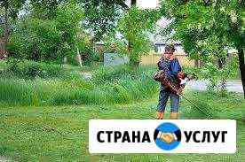 Покос травы Тула