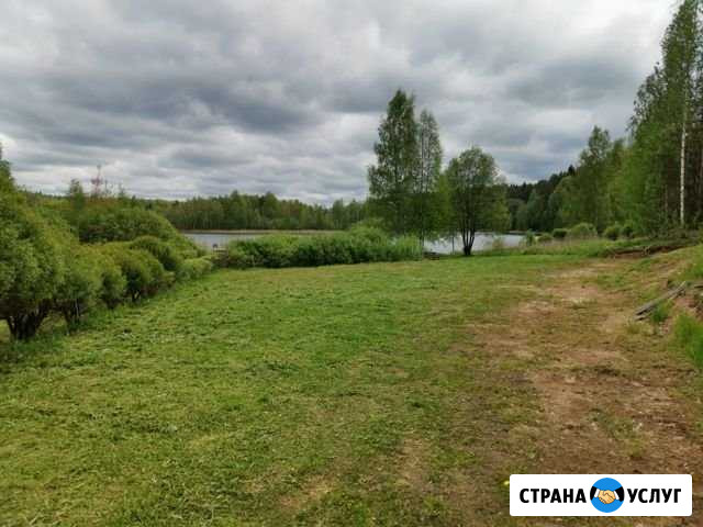 Покос травы и борщевика Валдай - изображение 1