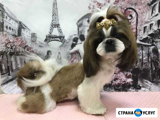 Стрижка собак Уфа - изображение 1