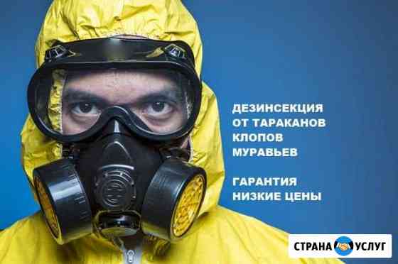 Уничтожение тараканов, клопов, муравьев. Гарантия Самара