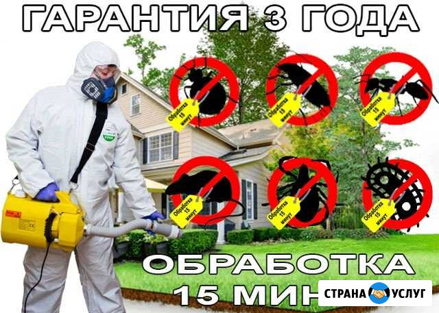Уничтожение клопов, тараканов, клещей, блох, запах Новокузнецк - изображение 1