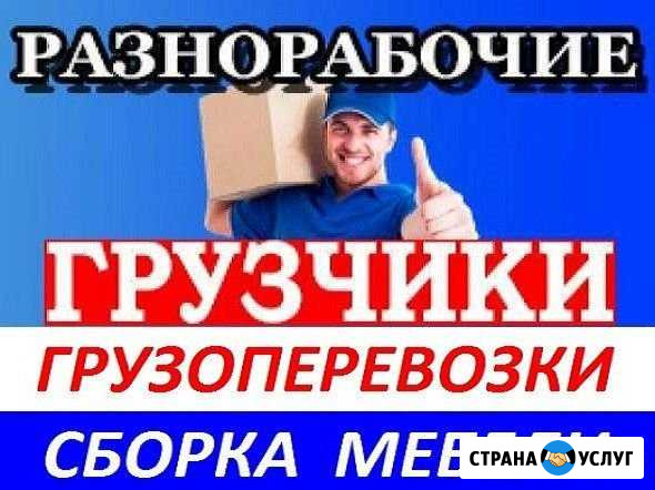 Грузчики Курганинск - изображение 1