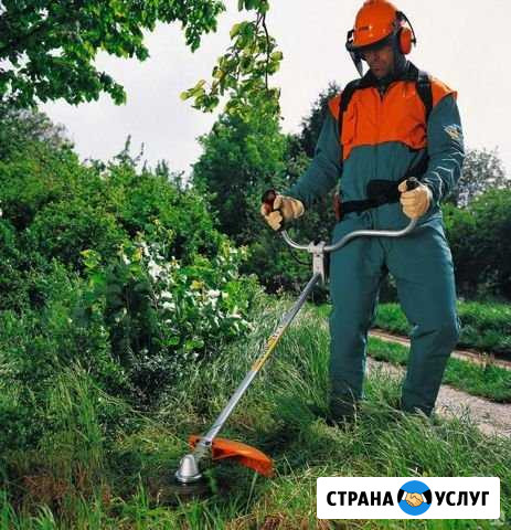 Скос травы триммером Кинешма - изображение 1