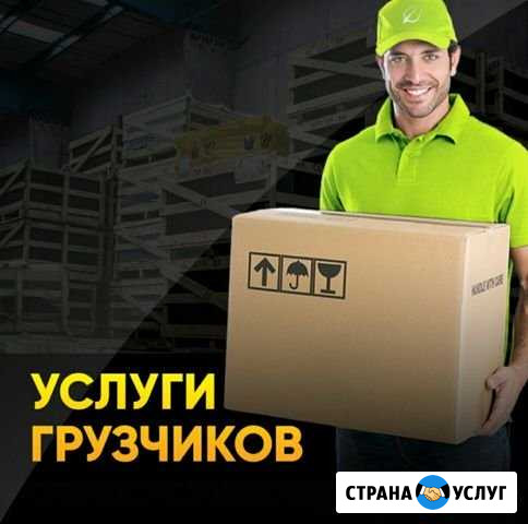 Грузчики. Грузоперевозки. Вывоз мусора. Уборка Курск - изображение 1