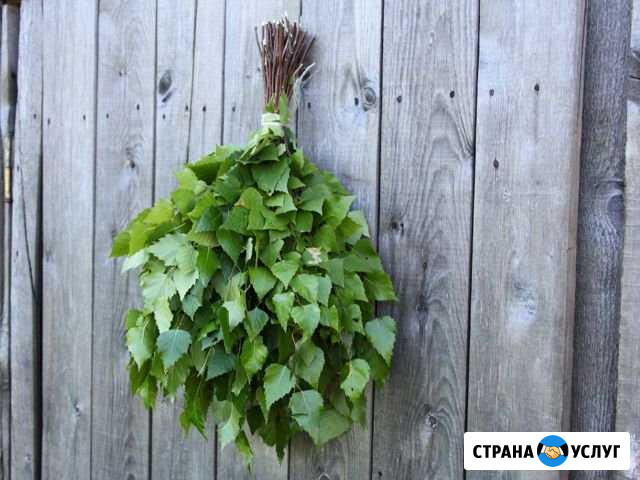 Веники банные Горно-Алтайск - изображение 1