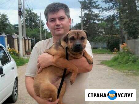 Ремонт компьютеров и другой компьютерной техники Санкт-Петербург - изображение 1