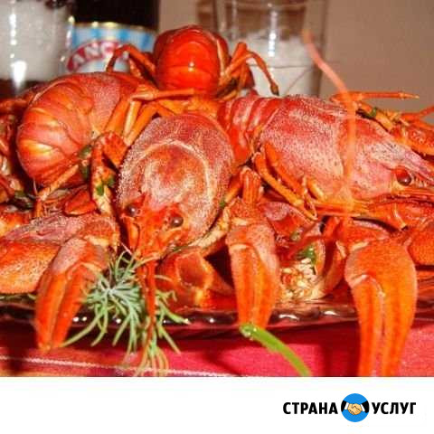 Раки живые и вареные Балаково - изображение 1