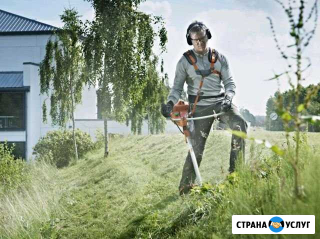 Покос травы Ступино - изображение 1