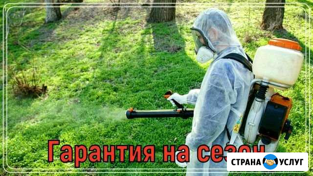 Обработка участка от клещей, кротов, борщевика, ос Долгопрудный - изображение 1