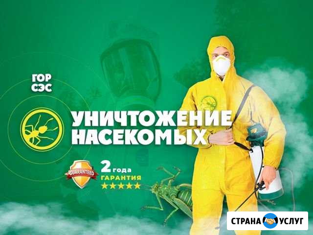Травим Клопов Тараканов профессионально Астрахань - изображение 1