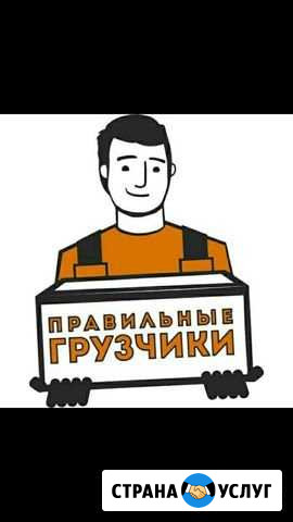 Грузчики грузоперевозки Сургут - изображение 1