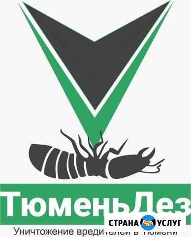 Обработка от клопов и тараканов Тюмень - изображение 1