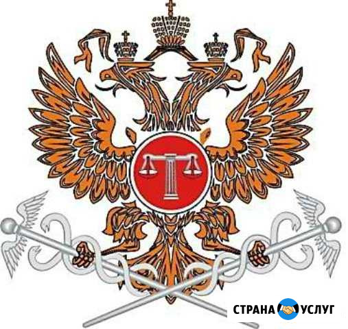 Иски, претензии Домодедово - изображение 1