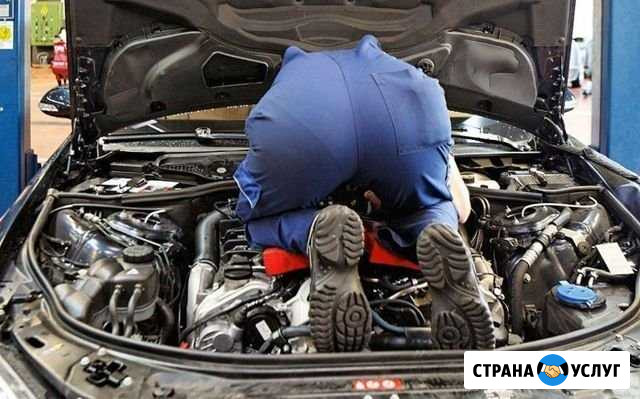 То ремонт авто Минеральные Воды - изображение 1