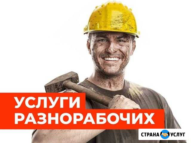 Разнорабочие 24/7 Пушкино - изображение 1