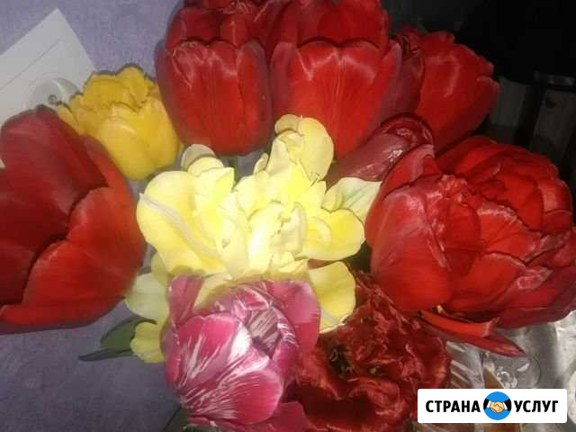 Услуги няни Тольятти - изображение 1