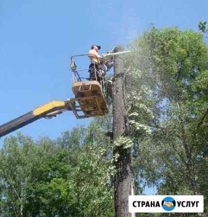 Спил деревьев Кочубеевское