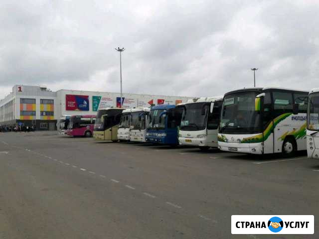 Аренда автобуса от 6-75 мест Самара - изображение 1