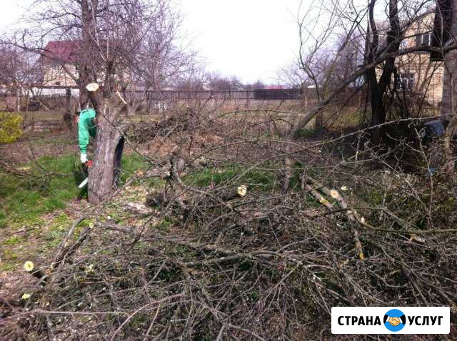 Разбор домов,Корчевание деревьев, удаление деревье Волоколамск - изображение 1