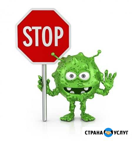 Дезинфекция без химии Нижний Новгород - изображение 1